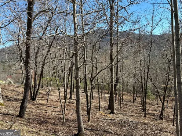 LOT 11 Asheland Cove Dr, Young Harris, GA 30582