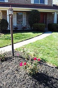 2nd image of 536 Montpelier Ct
