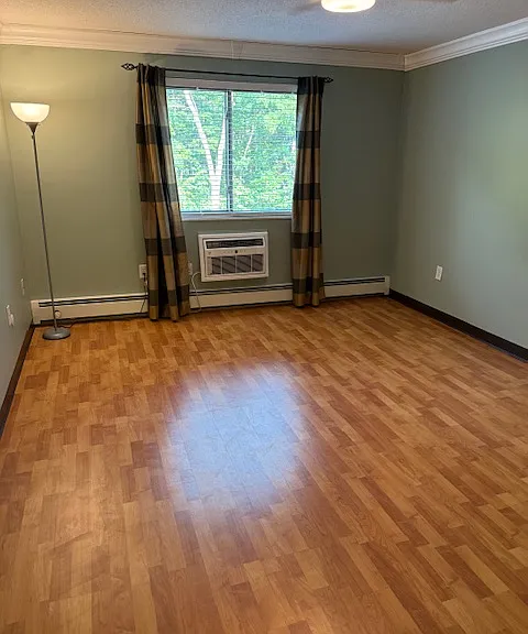 Bedroom with vinyl flooring and large closet