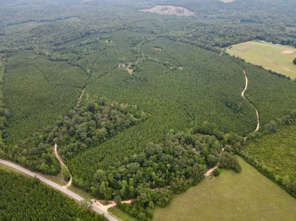 0 Walker Springs Rd Tract D, Jackson, AL 36545