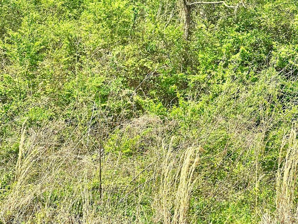 1st image of LOT 1 Salem Minor Hill Rd