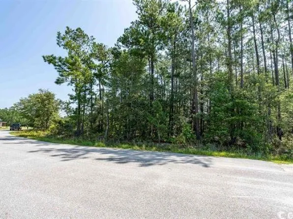 1535 Wilderness Ln., Loris, SC 29569