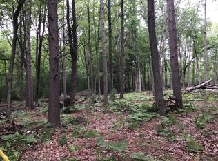 W 2nd Avenue Lots #1-10, Pentwater, MI 49449