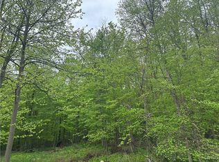 2460 Hitchings Rd, La Fayette, NY 13084