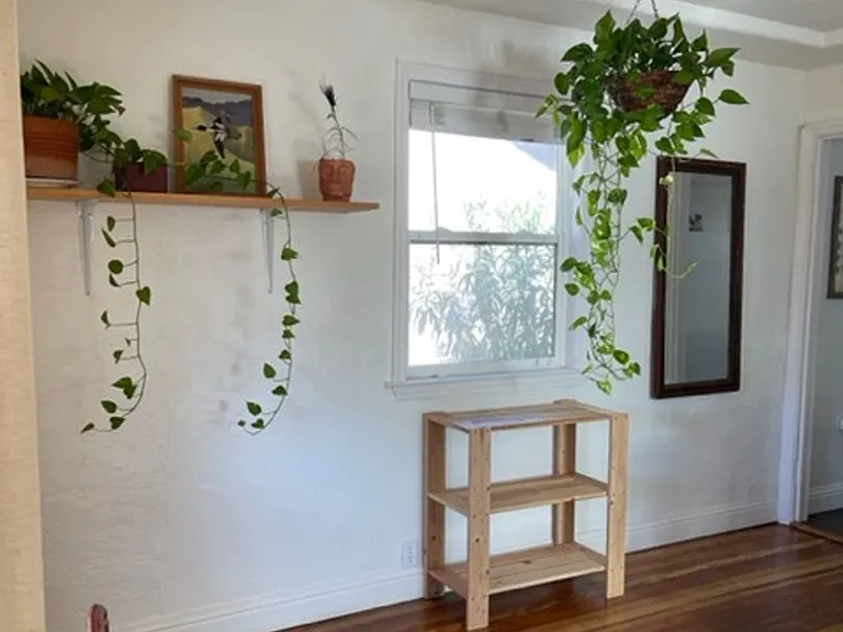 1335 Willis St — Photo 3