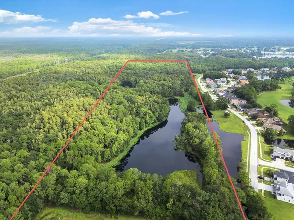 Unplatted, Odessa, FL 33556