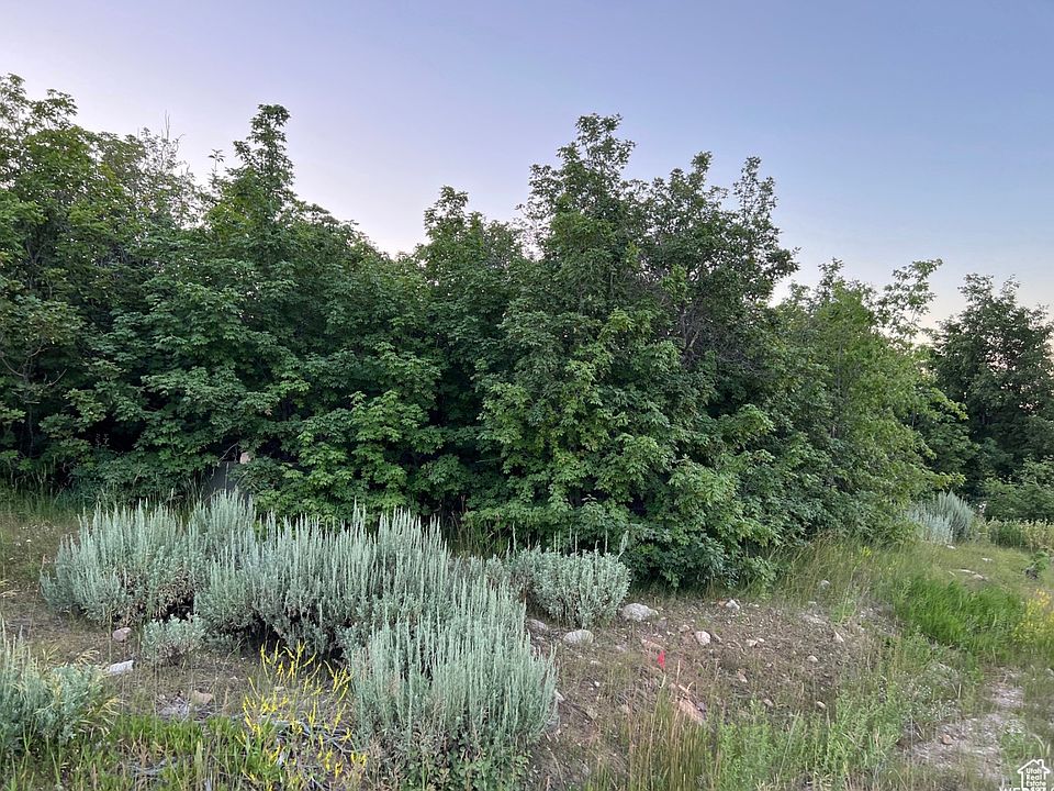 1st image of 58 Juniper Dr
