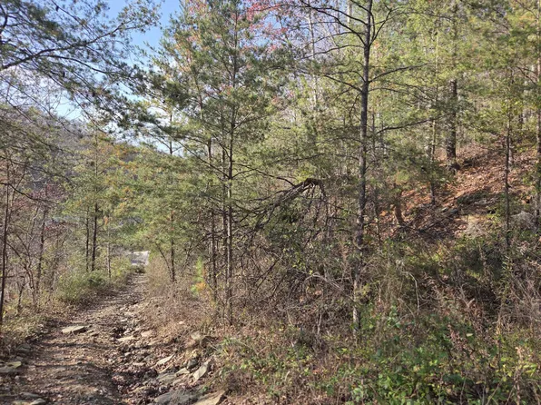 396 Tolan Branch Rd, Frenchburg, KY 40322