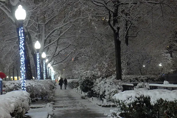 Rented by Corcoran | media 3