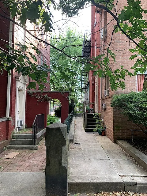1 bed, 370 sqft, $995 — Photo 2