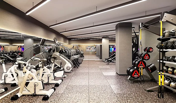 Rented by MNS | media 42