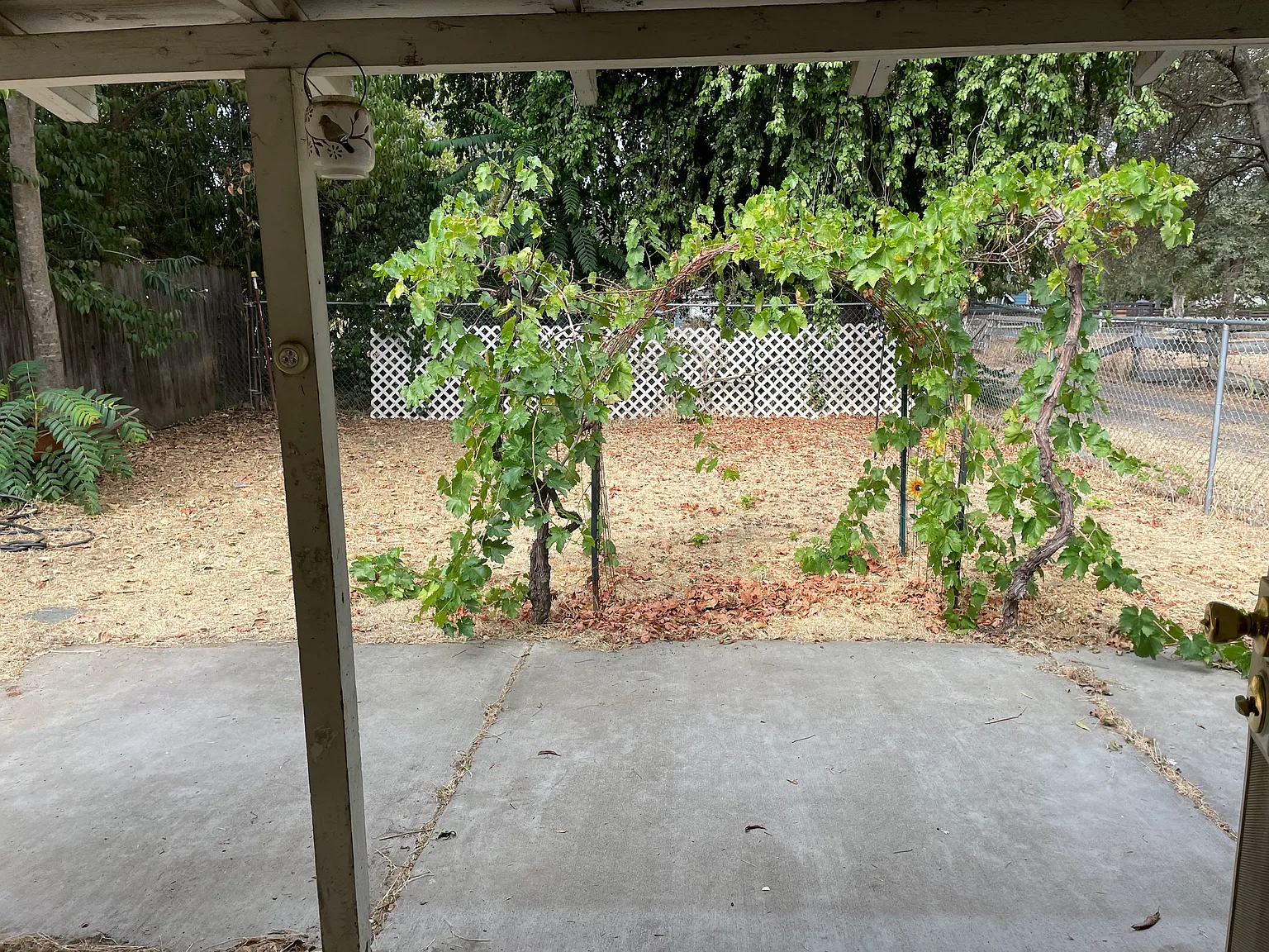 Mariposa Ave, Citrus Heights — Photo 1