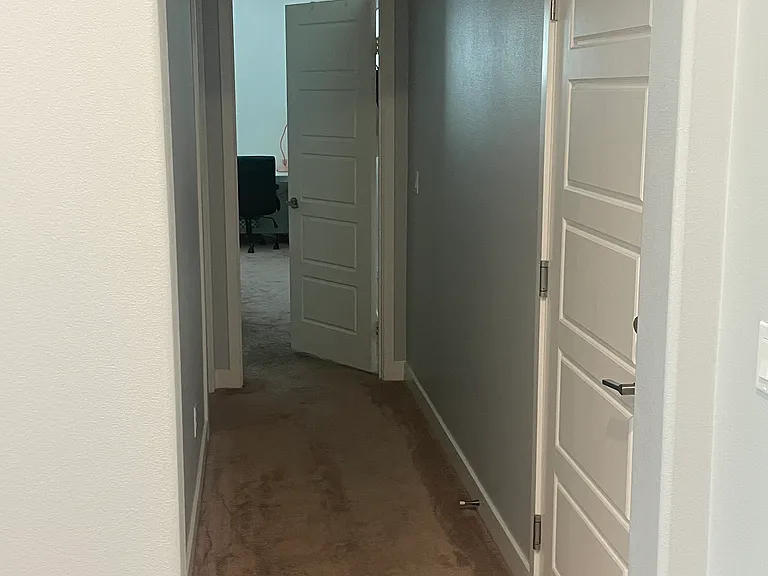 29646 Saddlebred Cir — Photo 40