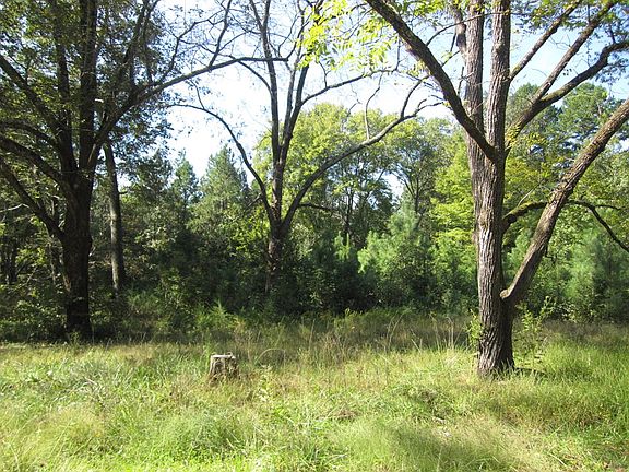 5th image of 423 Mayfield Dr