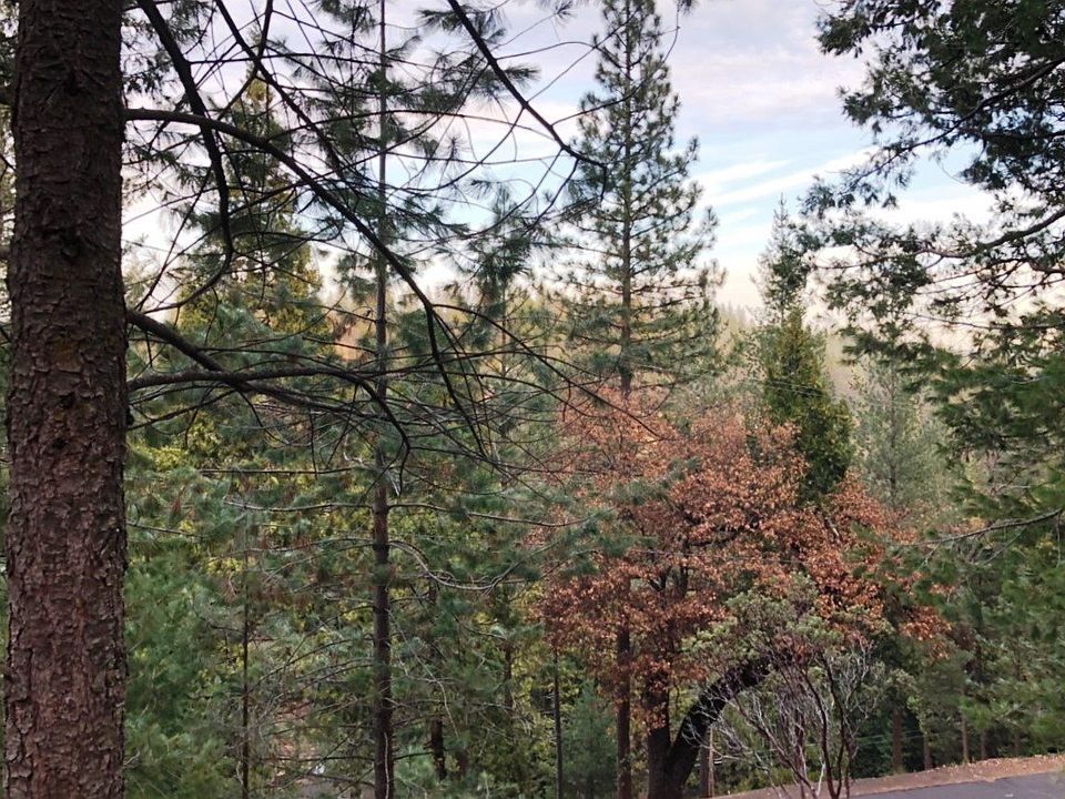 1st image of 15-48 Skyridge Drive Lower