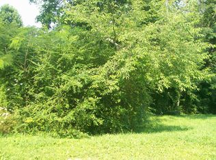 Blue Springs Rd, La follette, TN 37766