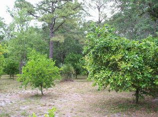 1289 Jenny Lynn Rd, New Smyrna Beach, FL 32168