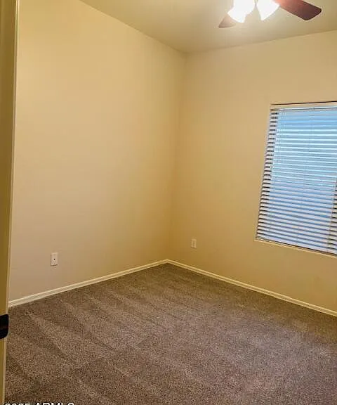 29081 N Cactus Cir — Photo 14