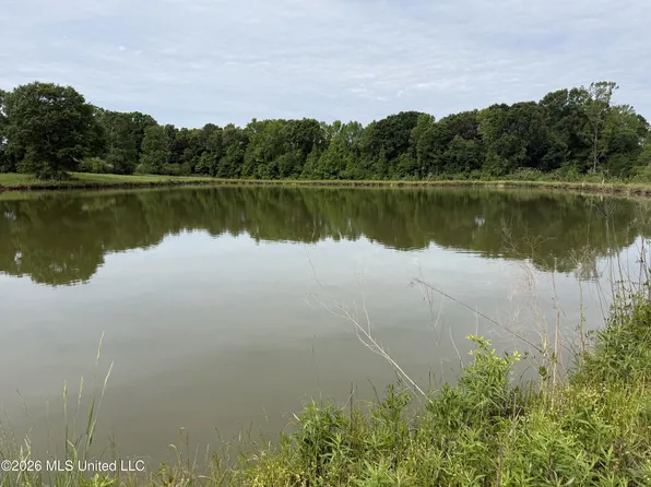 813 Holmesville Rd, Jayess, MS 39641