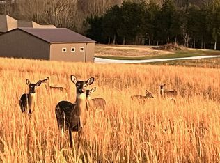 1384 Bullock Hollow Rd, Bristol, TN 37620