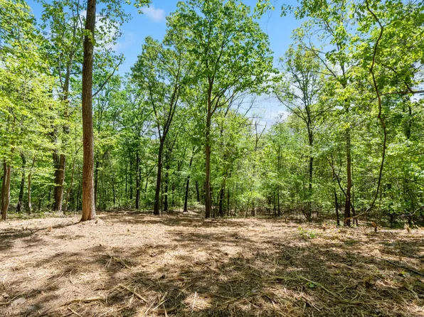 LOT 8 McDonald Rd, Mc Donald, TN 37353