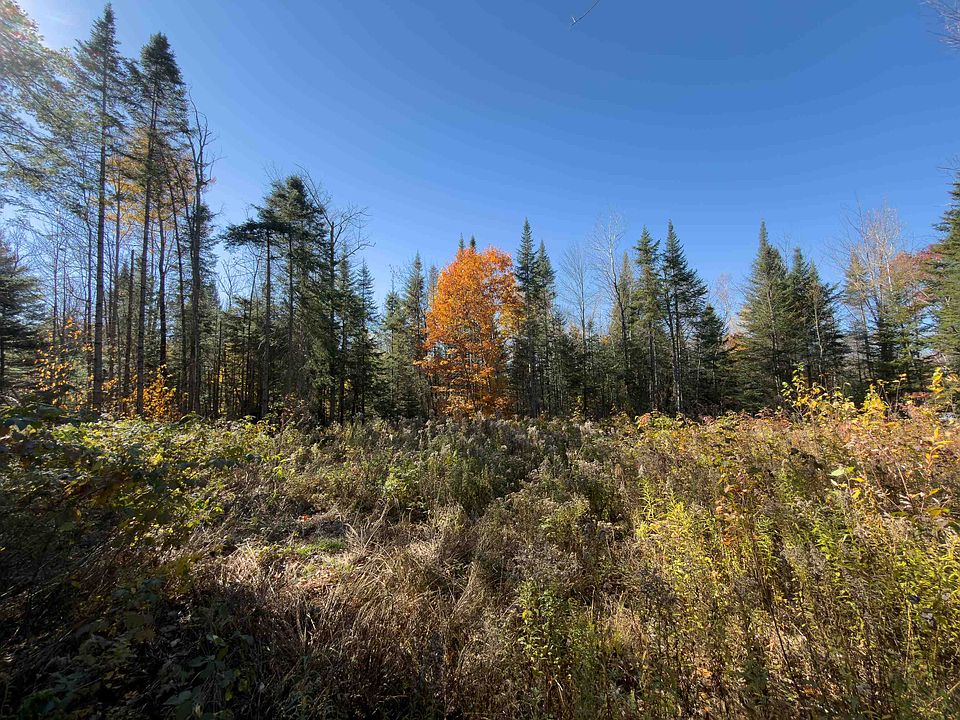 1st image of 40 Bear Paw Trail