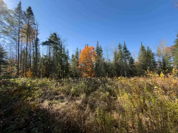 40 Bear Paw Trail, Littleton, NH 03561