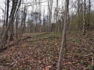 0 Ferguson Cemetery Rd, Sneedville, TN 37869