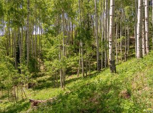 Various Silver Fox Trail, Oak Creek, CO 80467