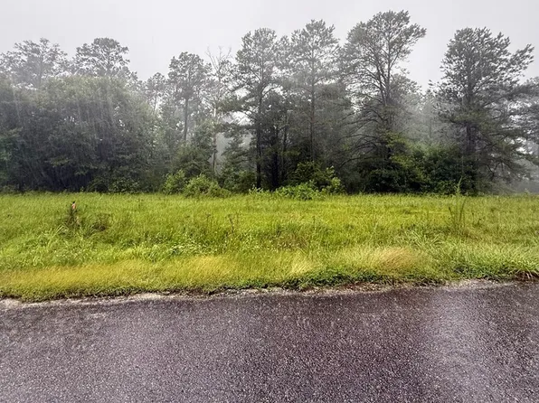LOT 4 Freemans Bend Rd, Northport, AL 35475