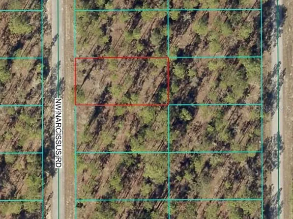 Tbd1 Nw Narcissus Rd, Dunnellon, FL 34431