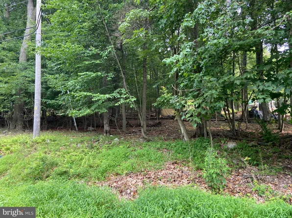 55 Papoose Dr, Auburn, PA 17922