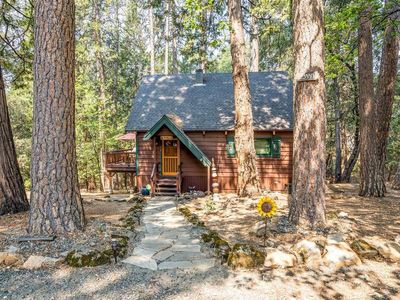 23441 Tanager Dr, Twain Harte, CA, 95383