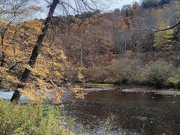 3rd image of 95 Byler Rd