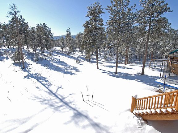 Mtn Views - Tall Trees