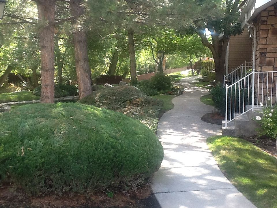 1st image of 799 E Shady Lake Dr