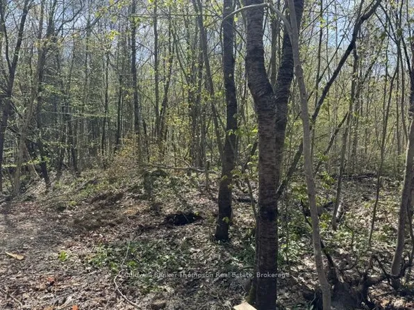 68 Mag View Dr, Armour, ON P0A 1L0