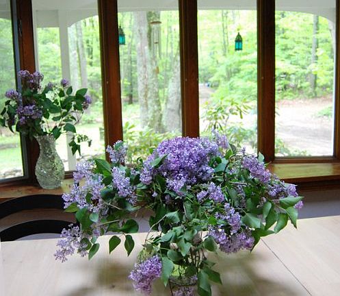 Front Room Bay Windows