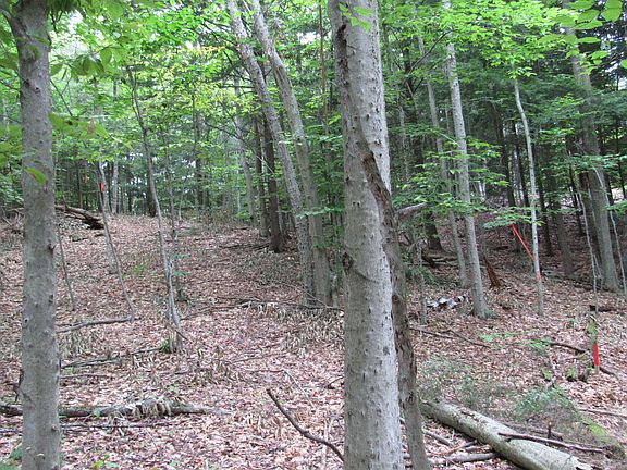 2nd image of L16 Barker Road