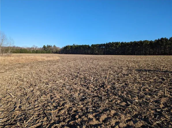0 Lowes Creek Road, Eleva, WI 54738