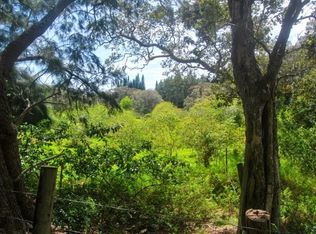 43-1866 Manienie Rd LOT B-1, Paauilo, HI 96776