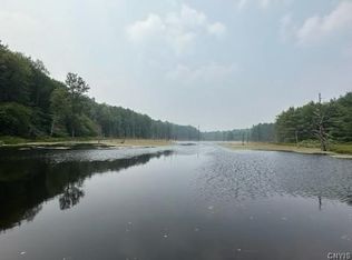 301 Edwards Hill Rd #20, Lisle, NY 13797