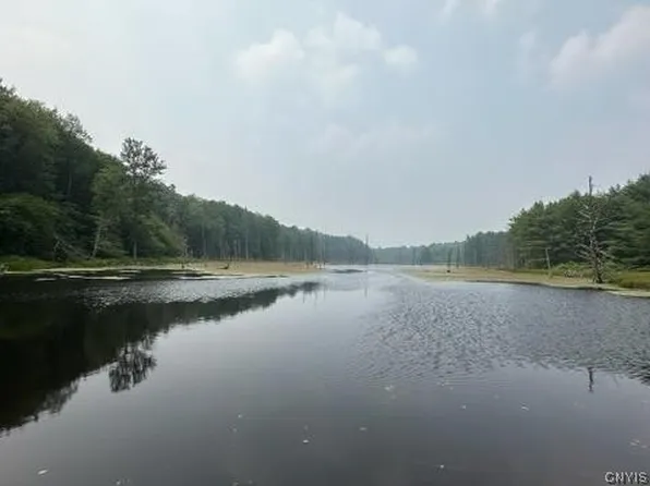 301 Edwards Hill Rd #20, Lisle, NY 13797