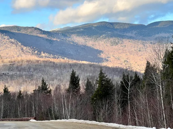Lot 51 Mahoosuc, Newry, ME 04261