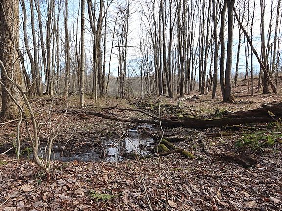 4th image of 175 Bremm Rd #15