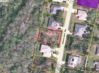 55 Zebulahs Trl, Palm Coast, FL 32164
