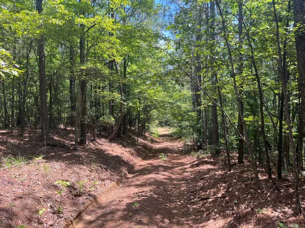 0 Bobo Loop, Winfield, AL 35594