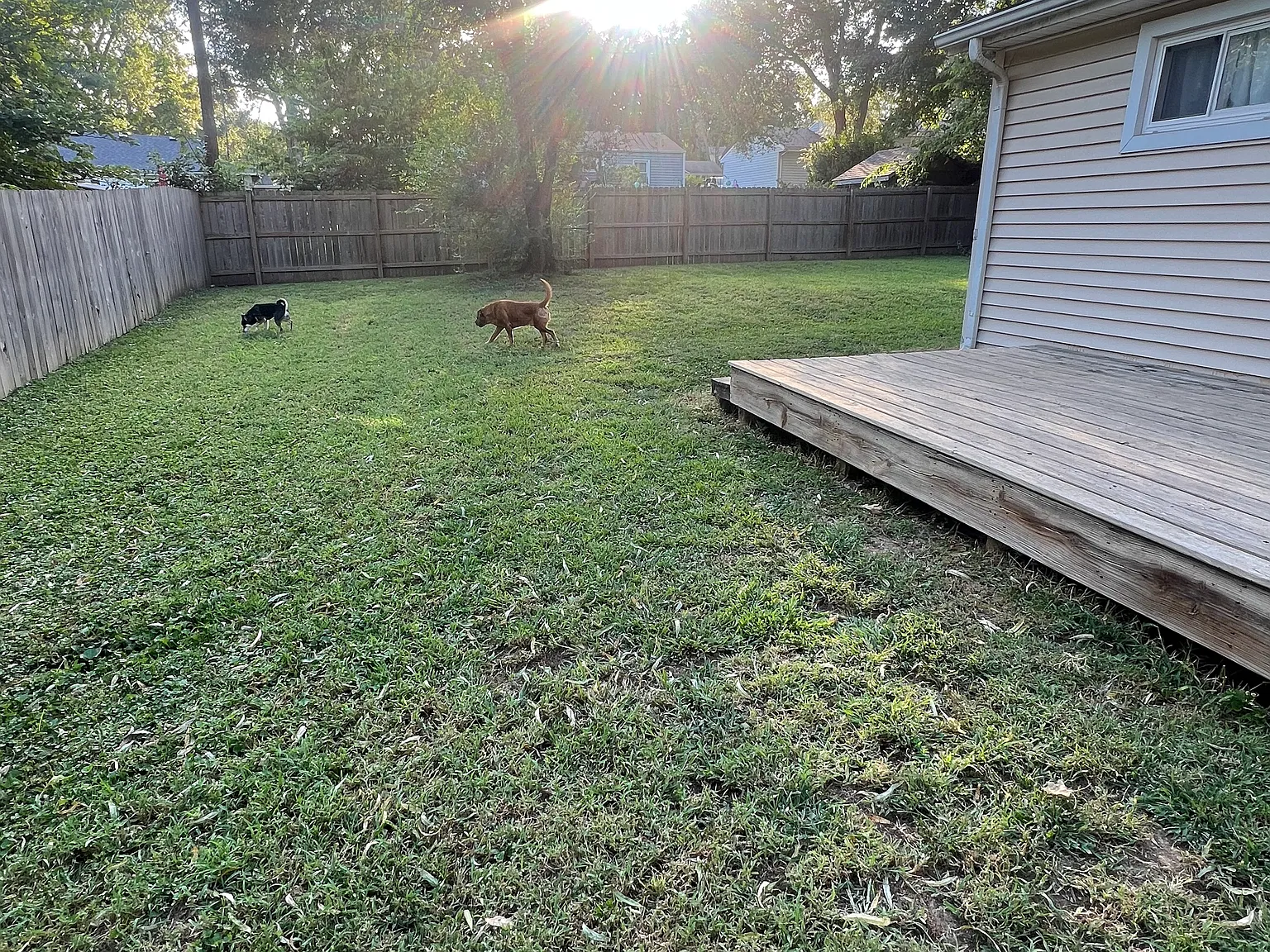 3 bed, 1344 sqft, $1,650 — Photo 3