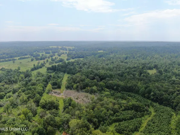 449 Emmitt Meeks Rd, Waterford, MS 38685