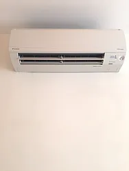 Rented by P Management